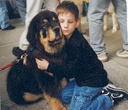Welpe black and tan mit einem Jungen bei einer Hundeshow.