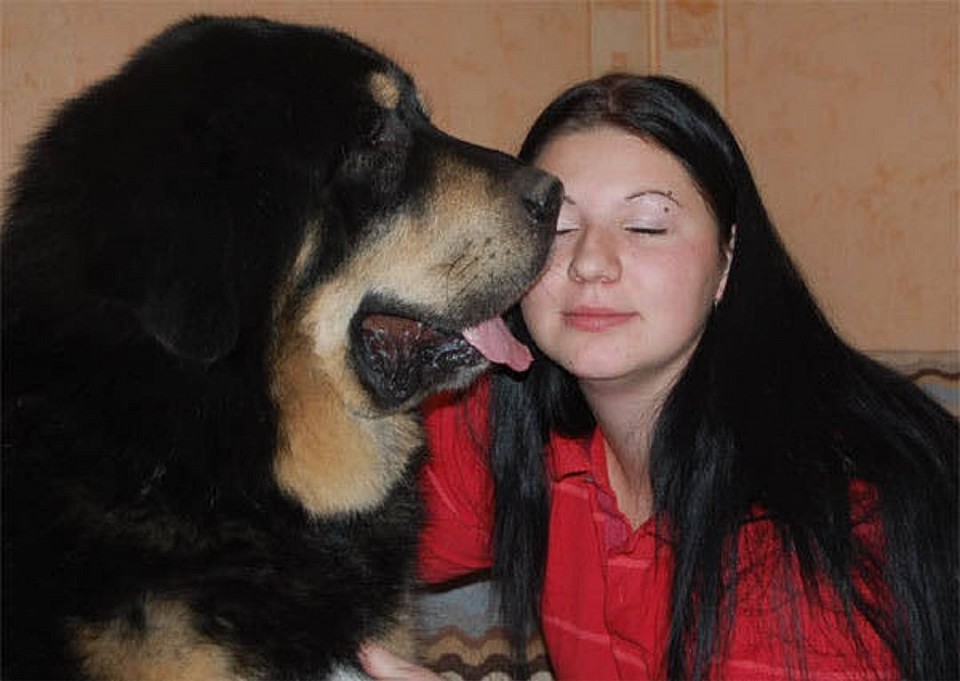 Rambo Import aus USA